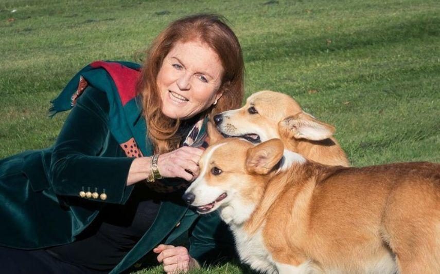 Sarah Ferguson - Polémica a estrear? Duquesa promete “colocar pontos nos i’s”
