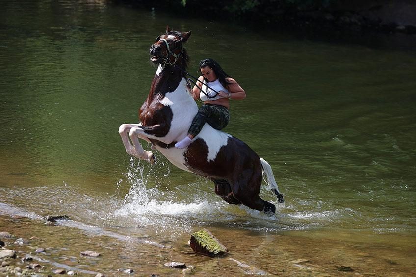 Feira de Cavalos em Inglaterra