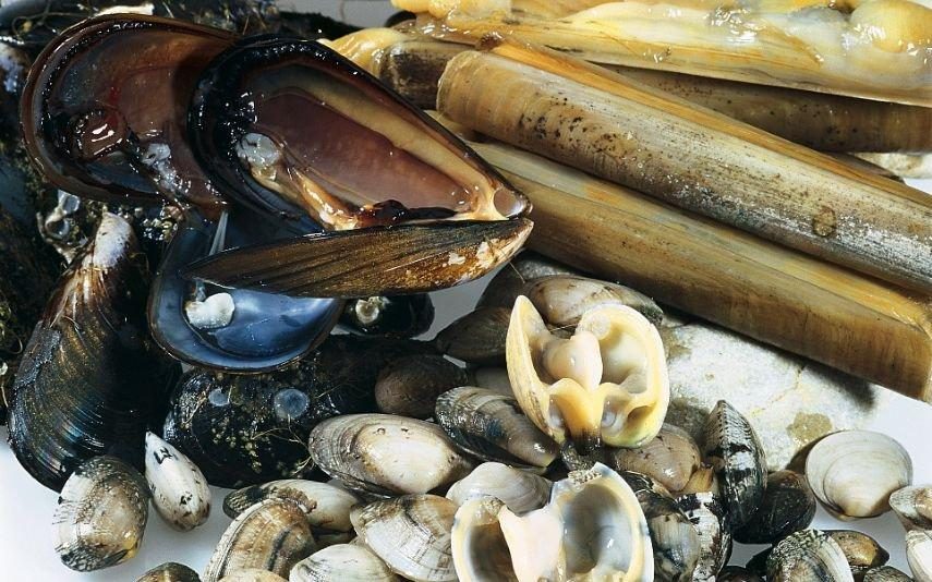 gastronomia O melhor prato de marisco do mundo é português!