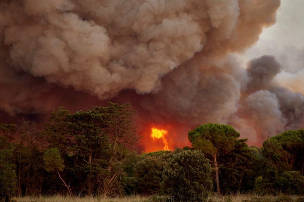 Número de incêndios reduzido em mais de metade em seis anos