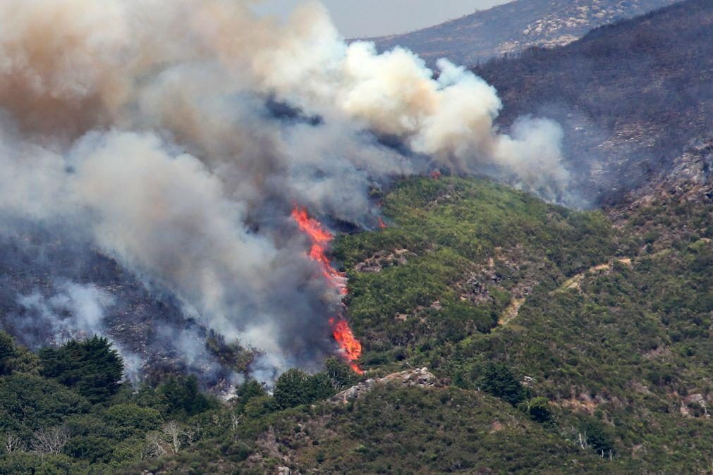 Agosto é já o mês com mais área ardida em 2024