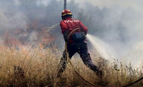 Perigo máximo de incêndio em mais de 30 concelhos de seis distritos