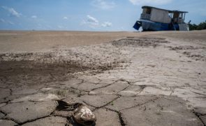 Acordo internacional sobre seca falhado na COP16 em Riade