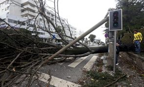 Proteção Civil registou 276 ocorrências até devido à chuva e vento fortes