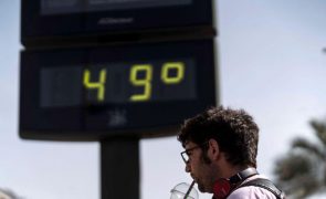 Temperatura média global em 2024 foi de 15,10°C e leva a ano mais quente de sempre