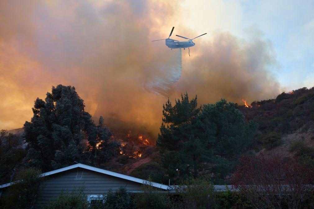 Sobe para 16 o número de mortos devido a incêndios florestais em Los Angeles