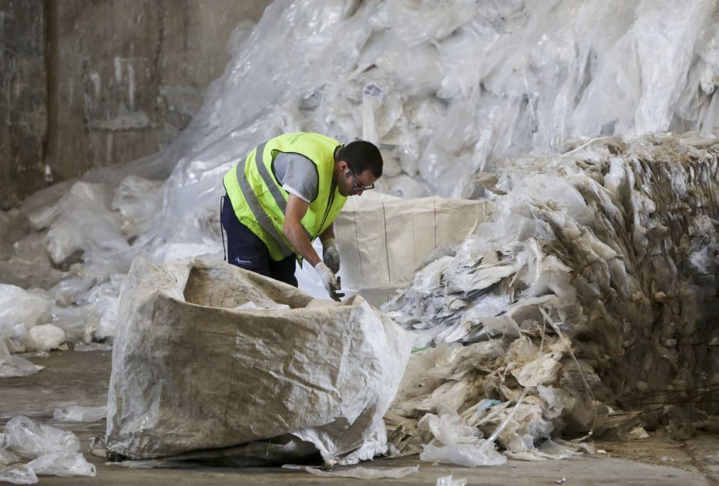 Portugal reciclou 477 mil toneladas de embalagens em 2024, longe das novas metas