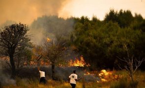 Incêndios afetaram mais de 16.000 alunos em Portugal em 2024