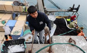 Pescadores do Norte exigem 