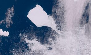 Maior icebergue do mundo afasta-se da Antártida e pode encalhar numa ilha remota