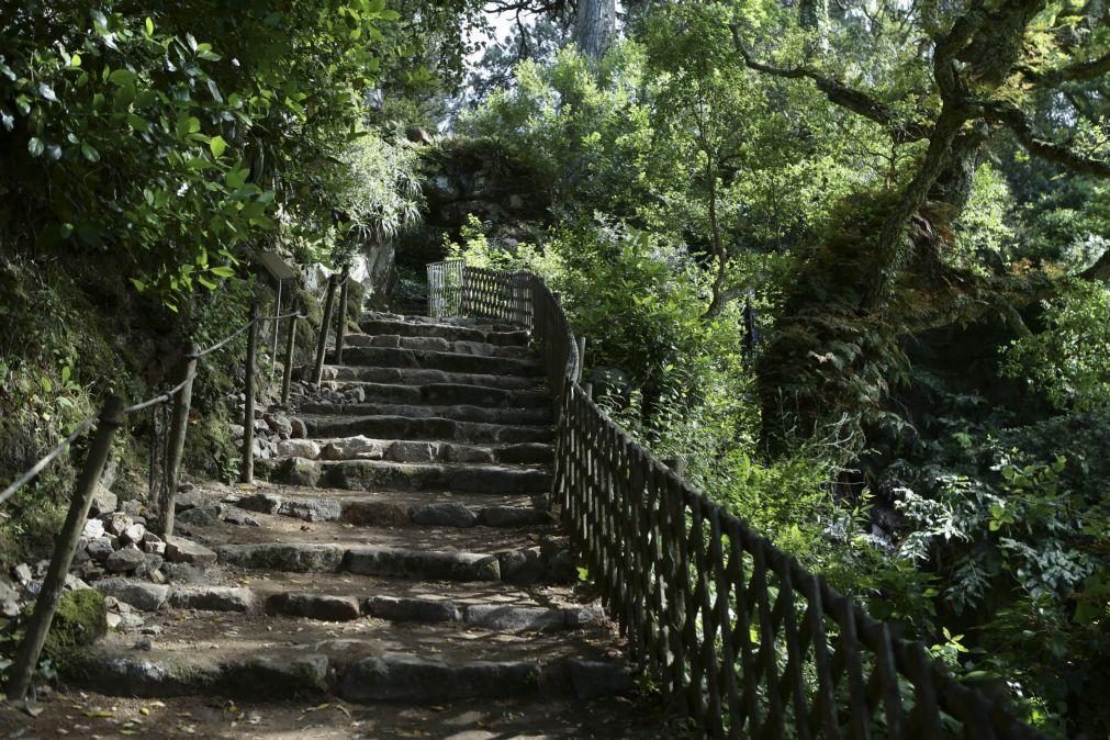 Monumentos na serra de Sintra fechados temporariamente e EN375 cortada para Monserrate