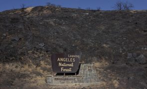 Incêndios em Los Angeles totalmente controlados três semanas depois