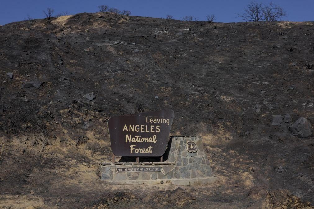 Incêndios em Los Angeles totalmente controlados três semanas depois