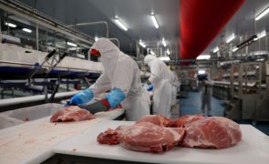 Angola proíbe importação de alguns produtos de origem animal