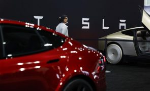 Vendas de veículos Tesla na UE caíram 50,3% em janeiro