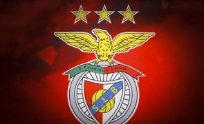 Benfica SAD mais do que duplica lucro para 40 ME no primeiro semestre de 2024/25