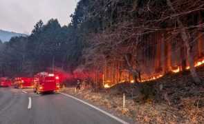 Maior incêndio do Japão em três décadas já consumiu 2.100 hectares e continua ativo