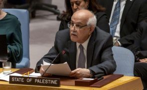 Palestina pede ao Conselho de Segurança da ONU para atuar em Gaza