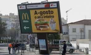 Vento forte no Algarve provocou queda de árvores e estruturas amovíveis