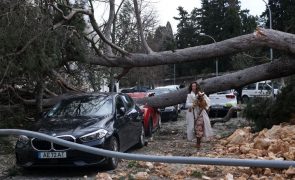 Registadas 920 ocorrências na cidade de Lisboa sobretudo queda de árvores