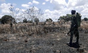 Sete supostos terroristas abatidos em Cabo Delgado