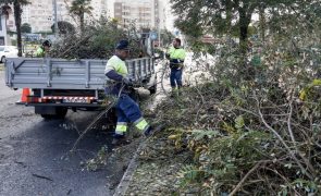 Proteção Civil regista 207 ocorrências até às 10:00 em Portugal continental