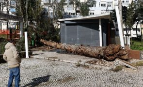 Seguradoras registaram 28 ME em danos em mais de 14.000 ocorrências