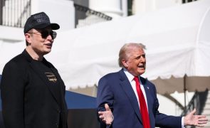 Trump anuncia ao seu núcleo duro que Musk se afastará do Governo dos EUA