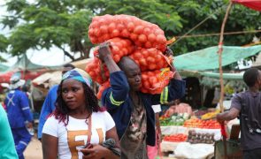 Preços em Moçambique com subida ligeira de fevereiro para março