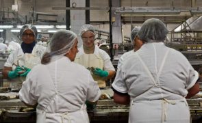 Greve na maior conserveira de peixe de Peniche com adesão de 7%