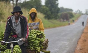 Oxford Economics prevê inflação de 5,3% em Moçambique este ano