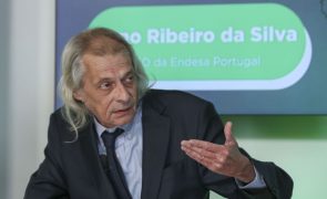 Greenvolt vende parque eólico na Polónia ao Grupo Enea por 174 ME