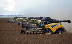 Soja brasileira ganha quota no mercado chinês face à tensão com os EUA