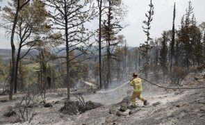 Incêndio nos arredores de Jerusalém está parcialmente sob controlo