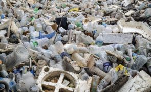 Bebidas consumidas na Ásia dão origem a lixo plástico nas praias de Cabo Verde