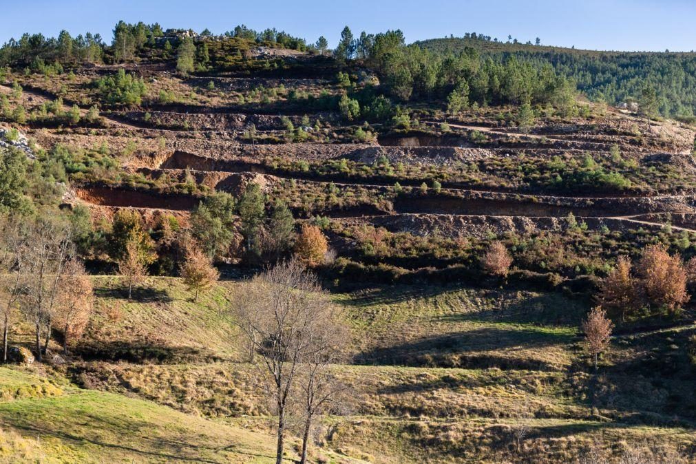 Portugal esgota na segunda-feira recursos naturais disponíveis para 2025