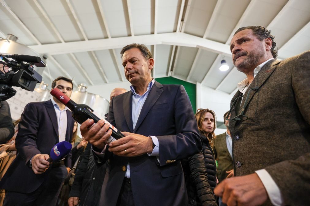 Montenegro promete agricultura mais autossustentável mas recusa protecionismos