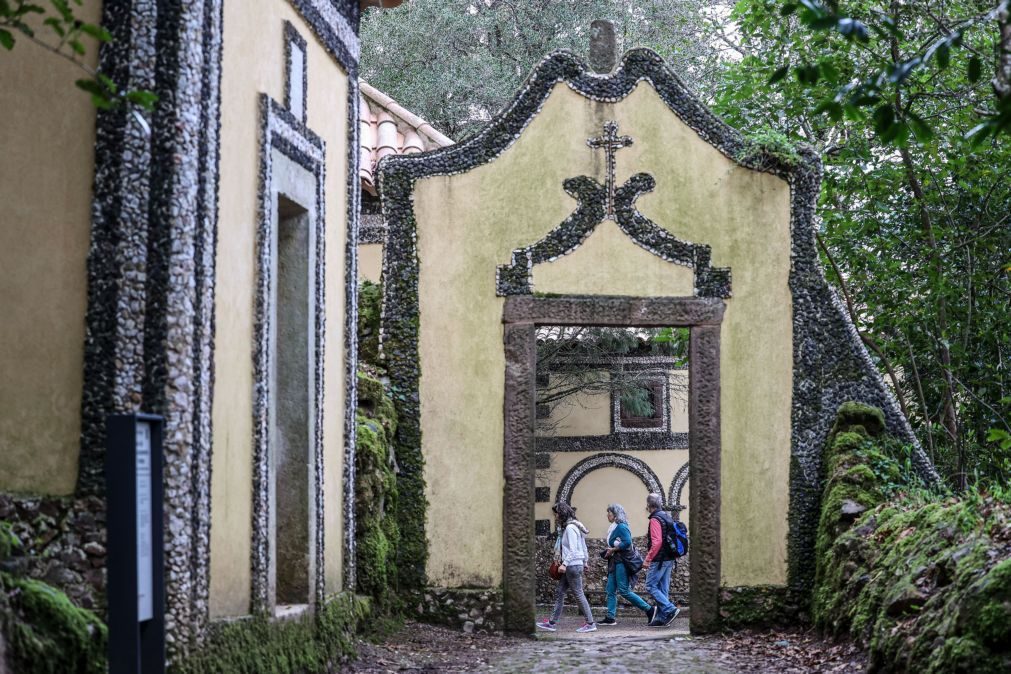 Mata do Bussaco com 500 mil visitantes e saldo positivo de 75 mil euros em 2024