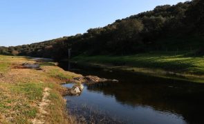 Ambientalistas ameaçam providência cautelar se começarem obras da Barragem do Pisão