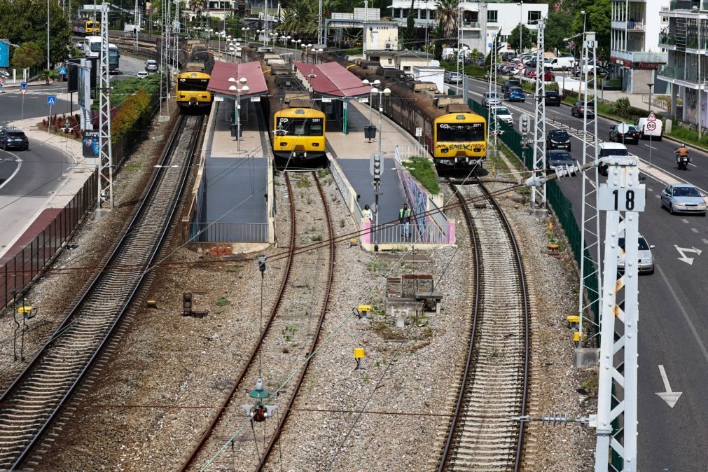 Greve dos maquinistas cancela circulação de 36,6% dos comboios até ao meio-dia