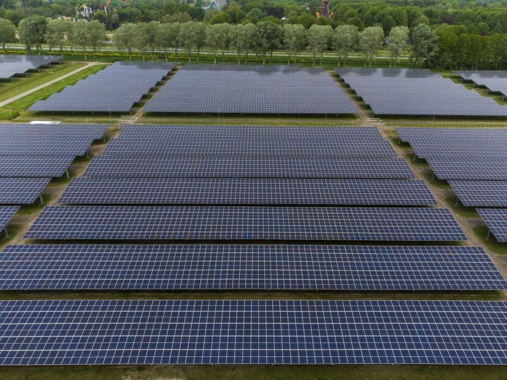 Petrolíferas investem mais de 31 ME para maior central fotovoltaica privada angolana