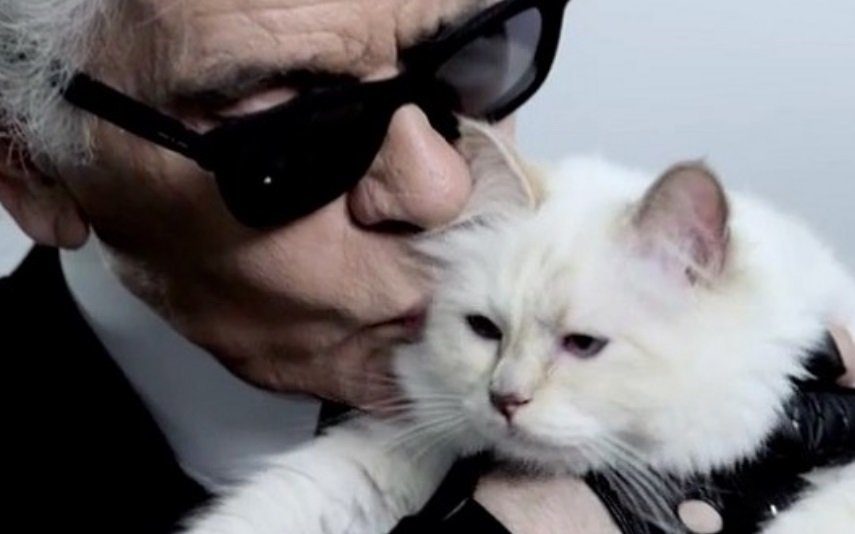 Gata de Karl Lagerfeld «escreve» carta de despedida em homenagem ao «pai»