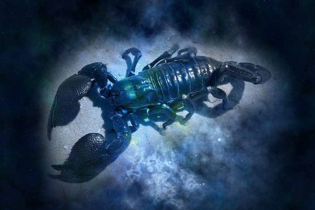 Horóscopo 2020 | O que reservam os astros para o signo Escorpião