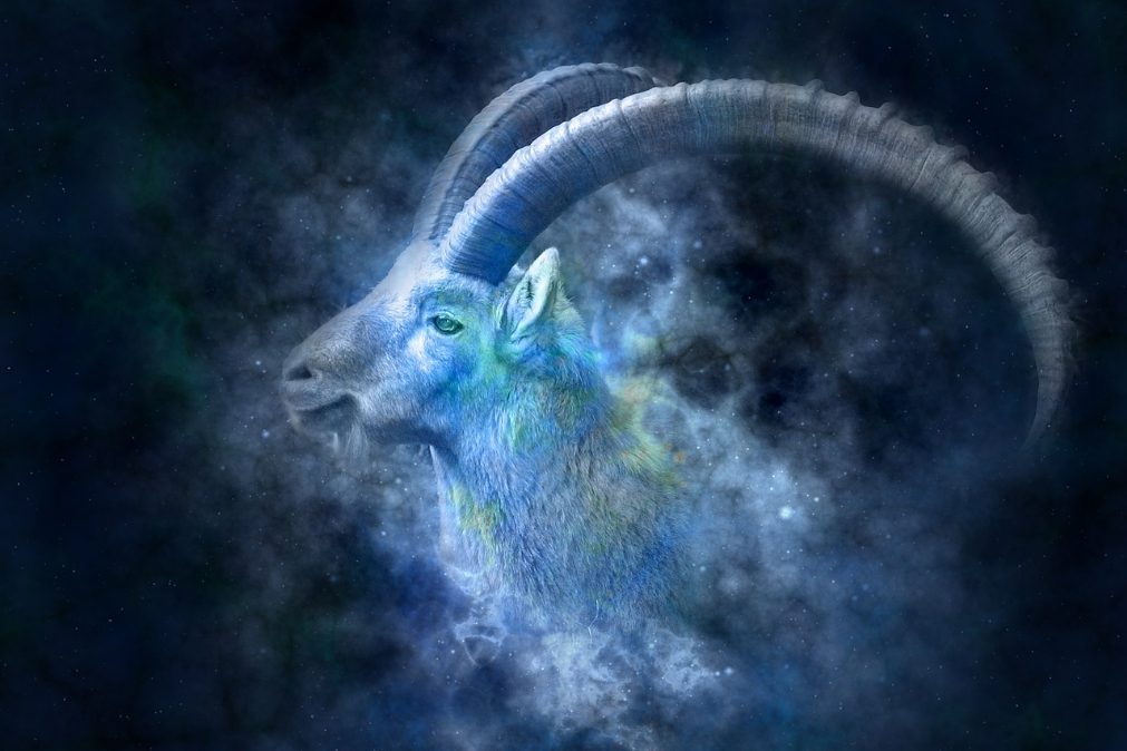Horóscopo 2020 | O que reservam os astros para o signo Capricórnio