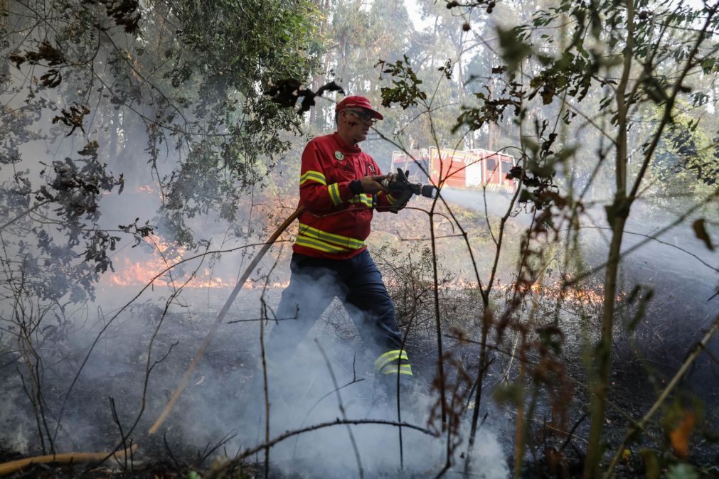 Dez concelhos de quatro distritos do país em risco muito elevado de incêndio